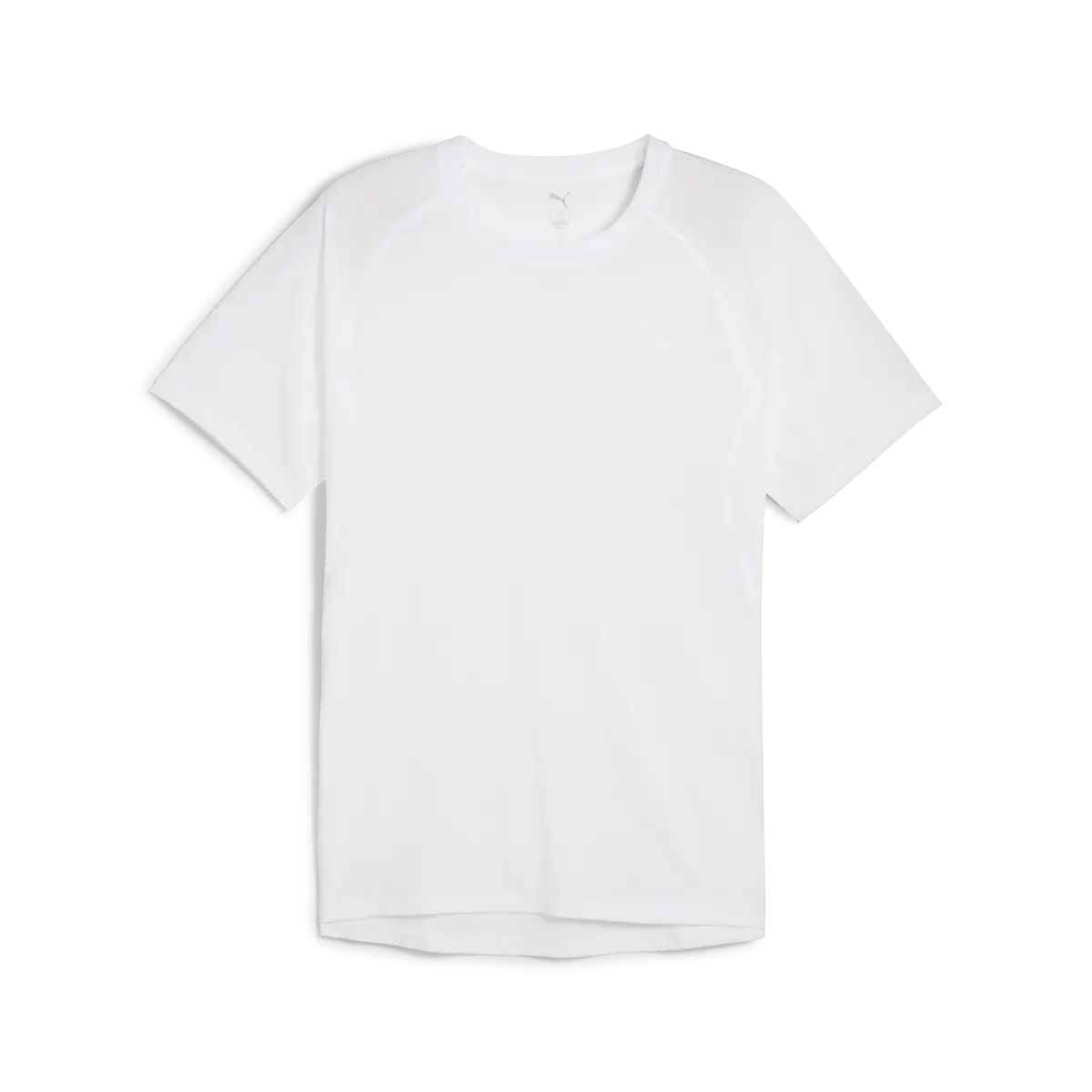 PUMA RUN VELOCITY TEE TRI-BLEND Beyaz Erkek T-Shirt
