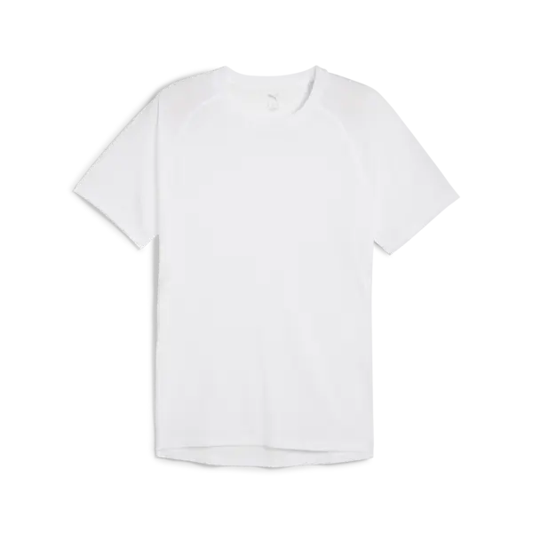PUMA RUN VELOCITY TEE TRI-BLEND Beyaz Erkek T-Shirt