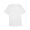 Puma GRAPHICS Skateboard Tee Beyaz Erkek T-Shirt & Polo