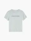 Calvin Klein INSTITUTIONAL T-SHIR Erkek Gri T-Shirt