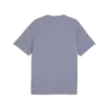 Puma EVOSTRIPE Tee Gri Erkek T-Shirt