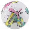 Puma Ortiba 2 Tb (Fifa Qualıty Pro) Beyaz Futbol Topu