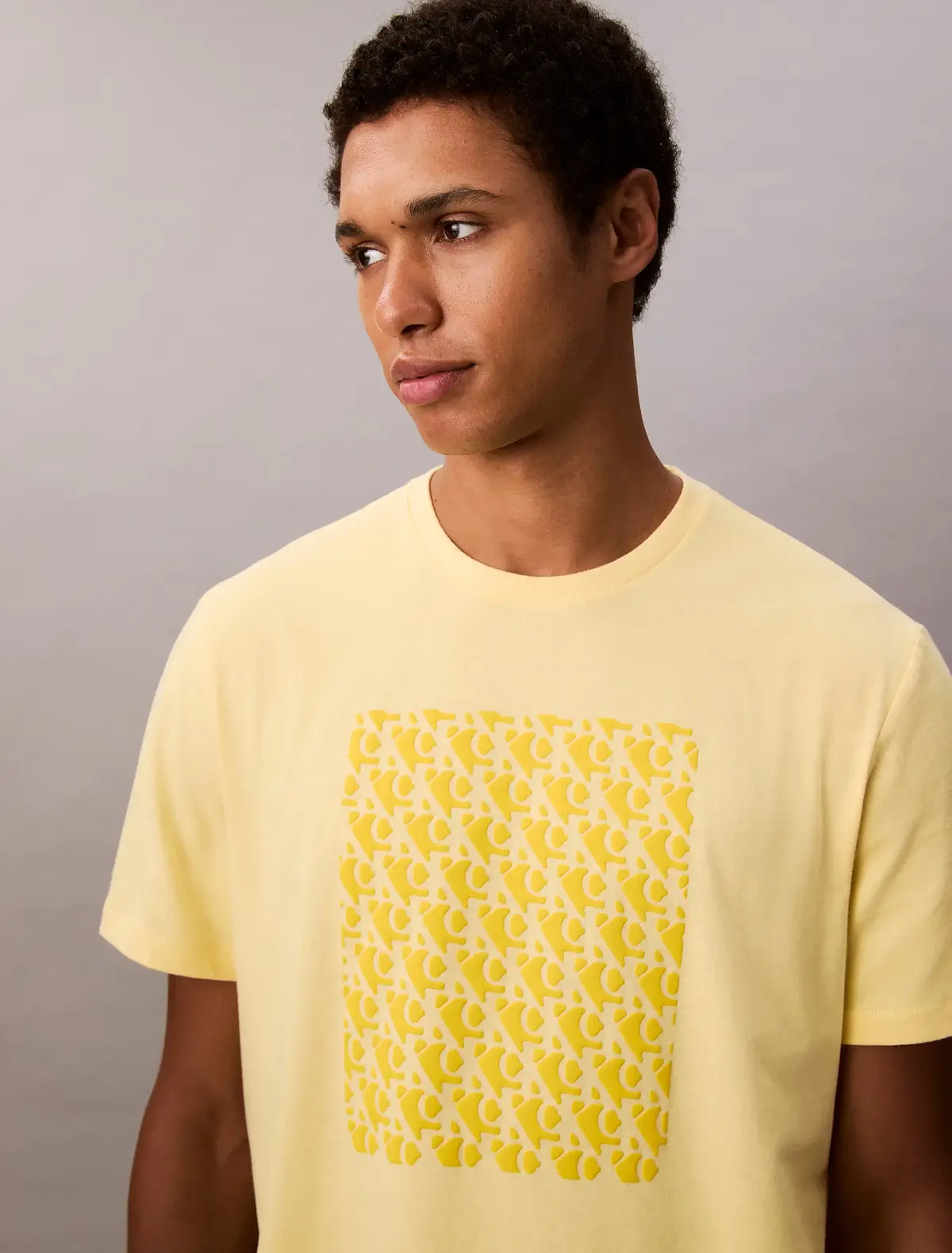 Calvin Klein SS 20S CK MACRO Sarı Erkek Tişört