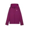 Puma EVOSTRIPE Full-Zip Hoodie Mor Kadın Sweatshirt