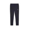 Puma EVOSTRIPE Pants Erkek Eşofman Altı