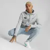 Puma MAPF1 Hooded Sweat Jacket Mercedes Mercedes Gri Erkek/Unisex Fermuarlı Hoodie