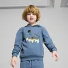 Puma X TROLLS Hoodie Mavi Erkek Çocuk Hoodie