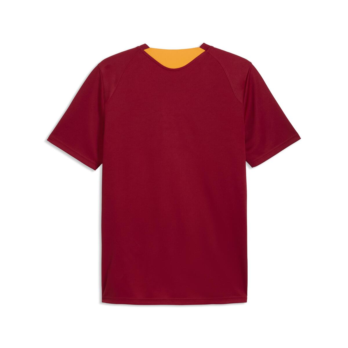 Puma GSK Training Jersey GALATASARAY Erkek Antrenman Forması