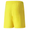 Puma teamRISE Short Jr Erkek Şort