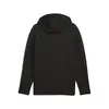 Puma EVOSTRIPE Core FZ Hoodie Siyah Erkek Fermuarlı Üst
