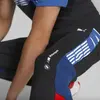 Puma Bmw Mms Sds Sweat Pants Siyah Erkek Eşofman Altı