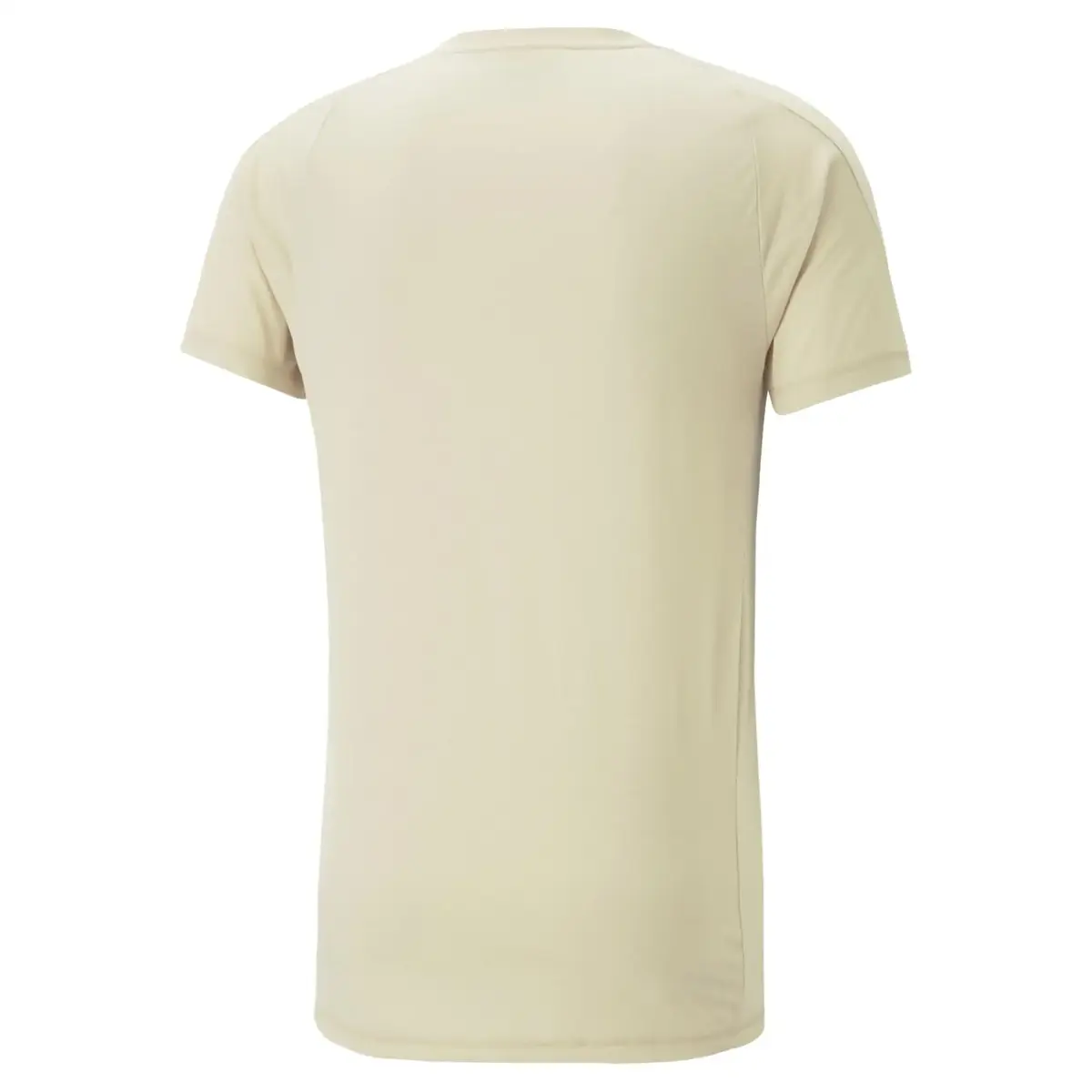 Puma EVOSTRIPE Tee Granola Erkek/Unisex T-Shirt