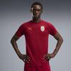 Puma GSK EVOSTRIPE Tee GALATASARAY EVOSTRIPE Erkek Dar Kesim Tişört