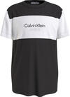 Calvin Klein COLOR BLOCK T-SHIRT Erkek Siyah T-Shirt