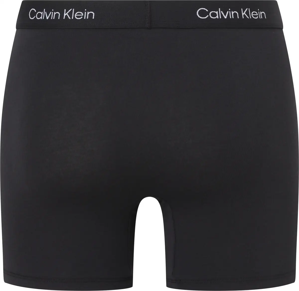Calvin Klein BOXER BRIEF Erkek Siyah Boxer