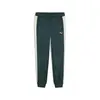 Puma T7 ALWAYS ON Track Pants Yeşil Erkek Eşofman Altı