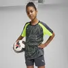 Puma individualLIGAGraphic Jsy jr Unisex Sweatshirt