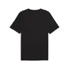 Puma GRAPHICS Sportswear Tee Siyah Erkek T-Shirt