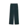 Puma ESS ELEVATED Velour Pant Yeşil Kadın Eşofman Altı