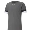 Puma teamRISE Jersey Erkek Forma