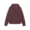 Puma FUTURE.PUMA.ARCHIVE Hoodie Erkek Sweatshirt