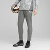 Puma teamCUP Training Pants Gri Erkek Eşofman Alt
