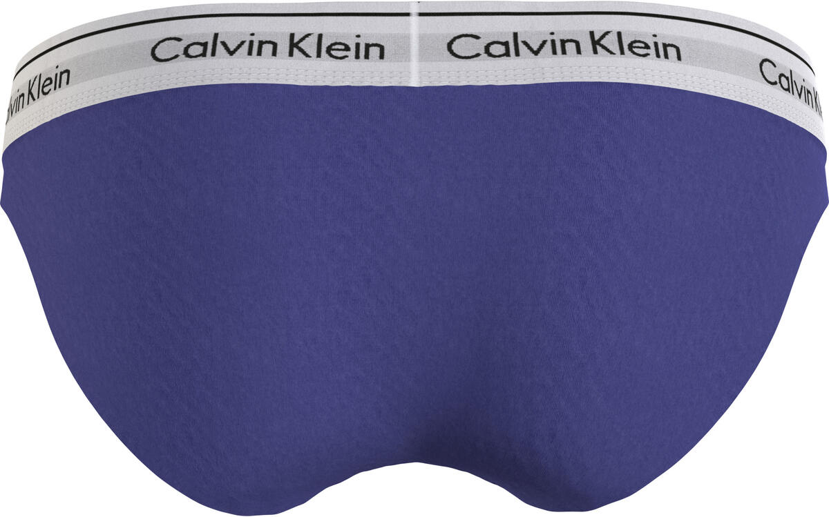Calvin Klein BIKINI Kadın Mavi Bikini Külot