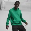 Puma teamGOAL Casuals Hoody Erkek Sweatshirt