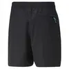 Puma Fandom Shorts Siyah Erkek Günlük Şort