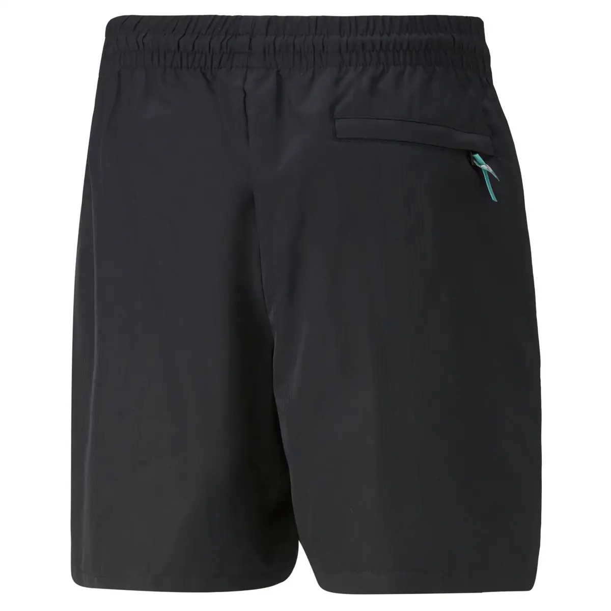 Puma Fandom Shorts Siyah Erkek Günlük Şort