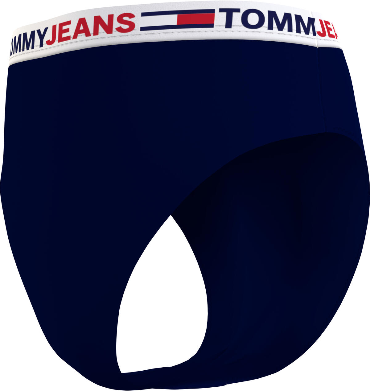 Tommy Hilfiger HIGH WAIST CHEEKY BI Kadın Siyah Bikini Altı