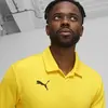 Puma teamGOAL Polo Sarı Polo T-Shirt