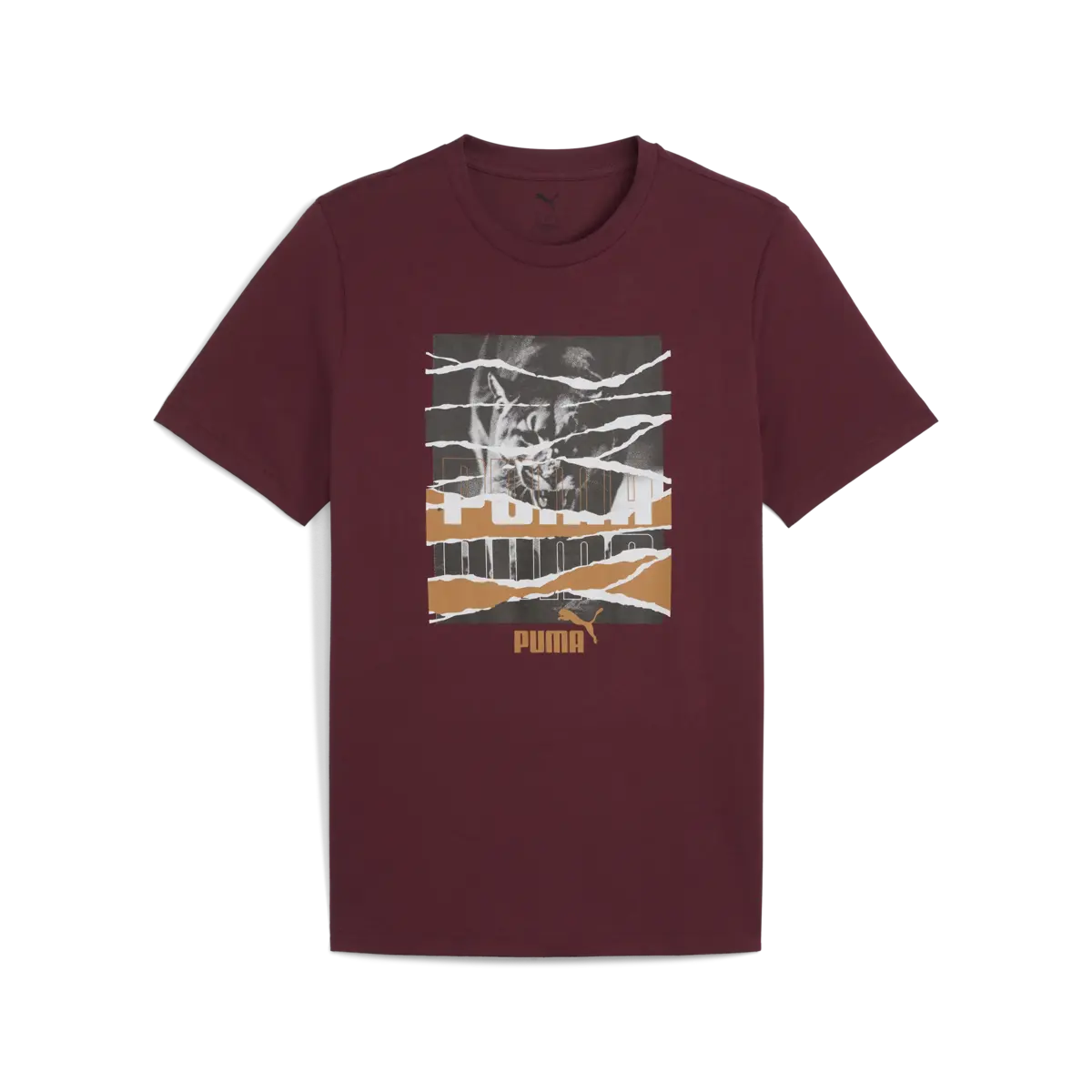 Puma GRAPHIC Tee Bordo Erkek T-Shirt