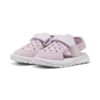 Puma Evolve Sandal AC Inf Unisex Terlik