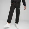 Puma TEAM Sweatpants Siyah Erkek Eşofman Altı