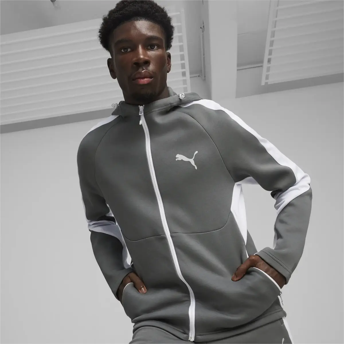 Puma EVOSTRIPE Full-Zip Hoodie DK Gri Erkek Sweatshirt