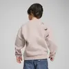 Puma X TROLLS Graphic Crew Pembe Erkek Çocuk Sweatshirt