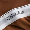 Calvin Klein BIKINI Kadın Kahverengi Bikini Külot