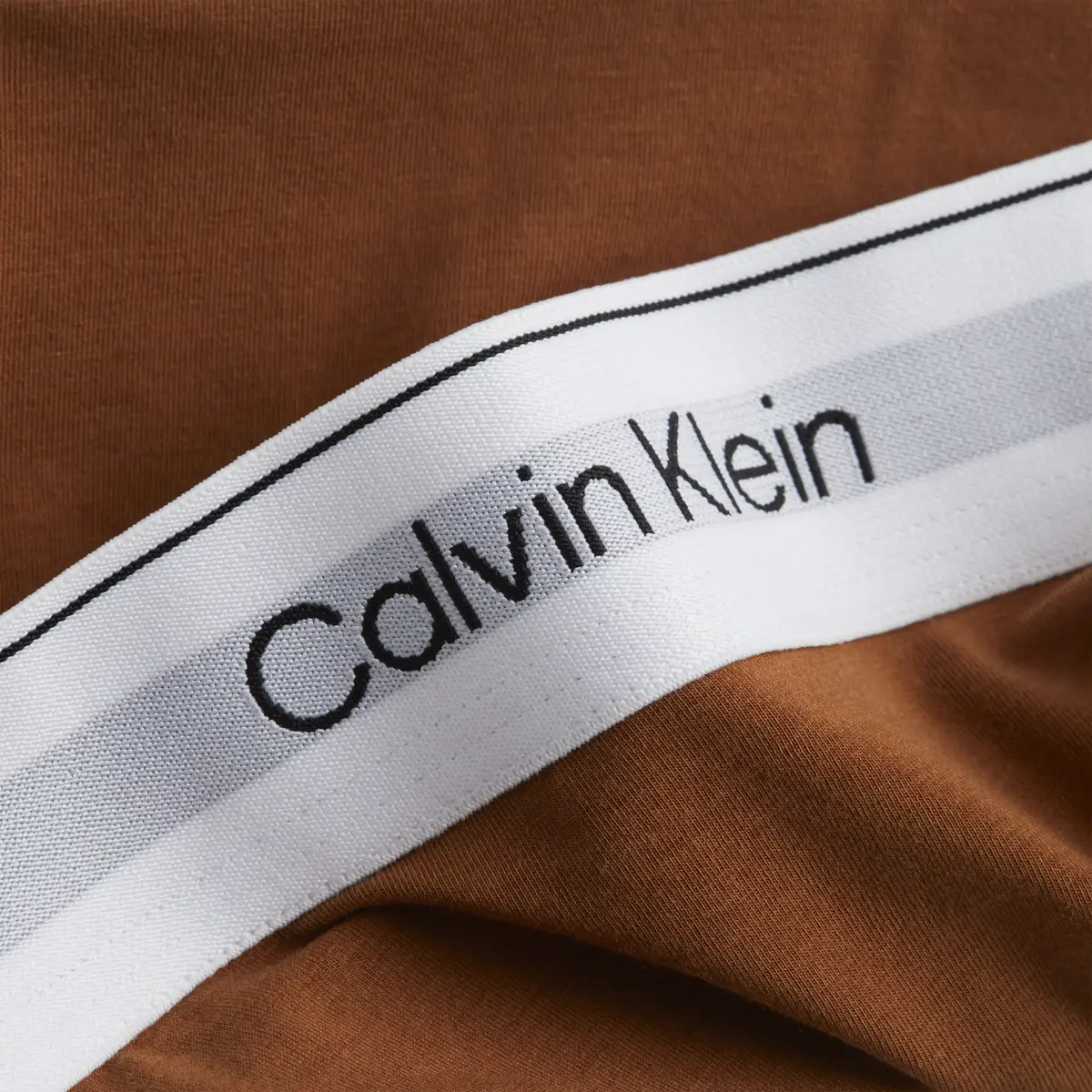 Calvin Klein BIKINI Kadın Kahverengi Bikini Külot