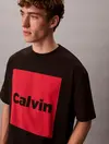 Calvin Klein SS 16S IO CALVIN BOX Siyah Erkek Tişört