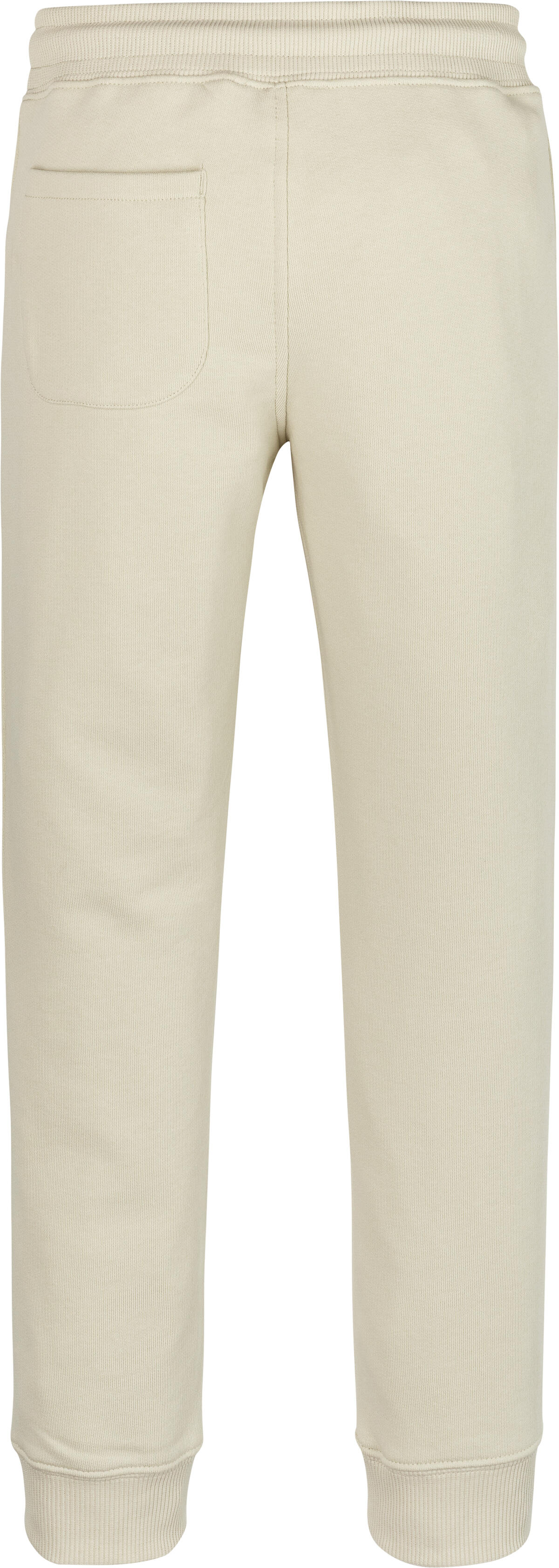 Calvin Klein GRADIENT INST LOGO J Erkek Lila Jogger