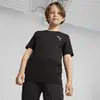 Puma EVOSTRIPE Tee Siyah Erkek T-Shirt