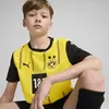 Puma BVB Home Jersey Replica Jr Sarı Unisex Forma