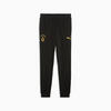 Puma GSK FtblESS Pants TR Siyah Erkek Eşofman Altı