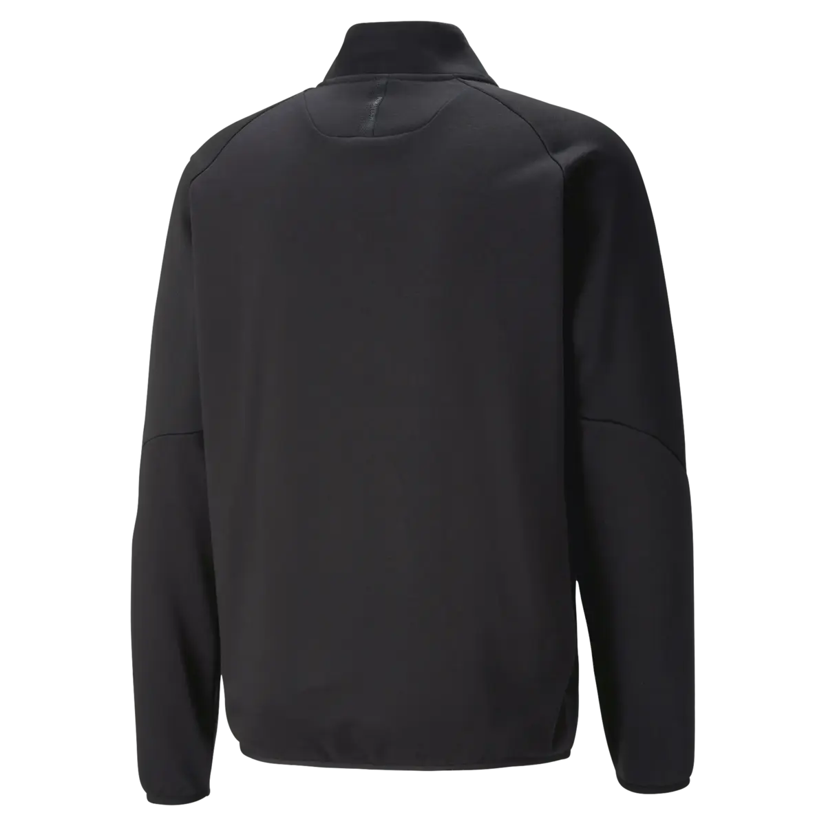 PUMATECH Half-Zip FL Siyah Erkek Sweatshirt