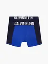 Calvin Klein 2PK BOXER BRIEF Erkek Mavi Boxer Set