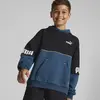 Puma Power Colorblock Hoodie Erkek Sweatshirt