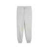 Puma SPORT Sweatpants TR cl Erkek Eşofman Altı