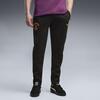 Puma GSK EVOSTRIPE Pants GALATASARAY EVOSTRIPE Erkek Eşofman Altı