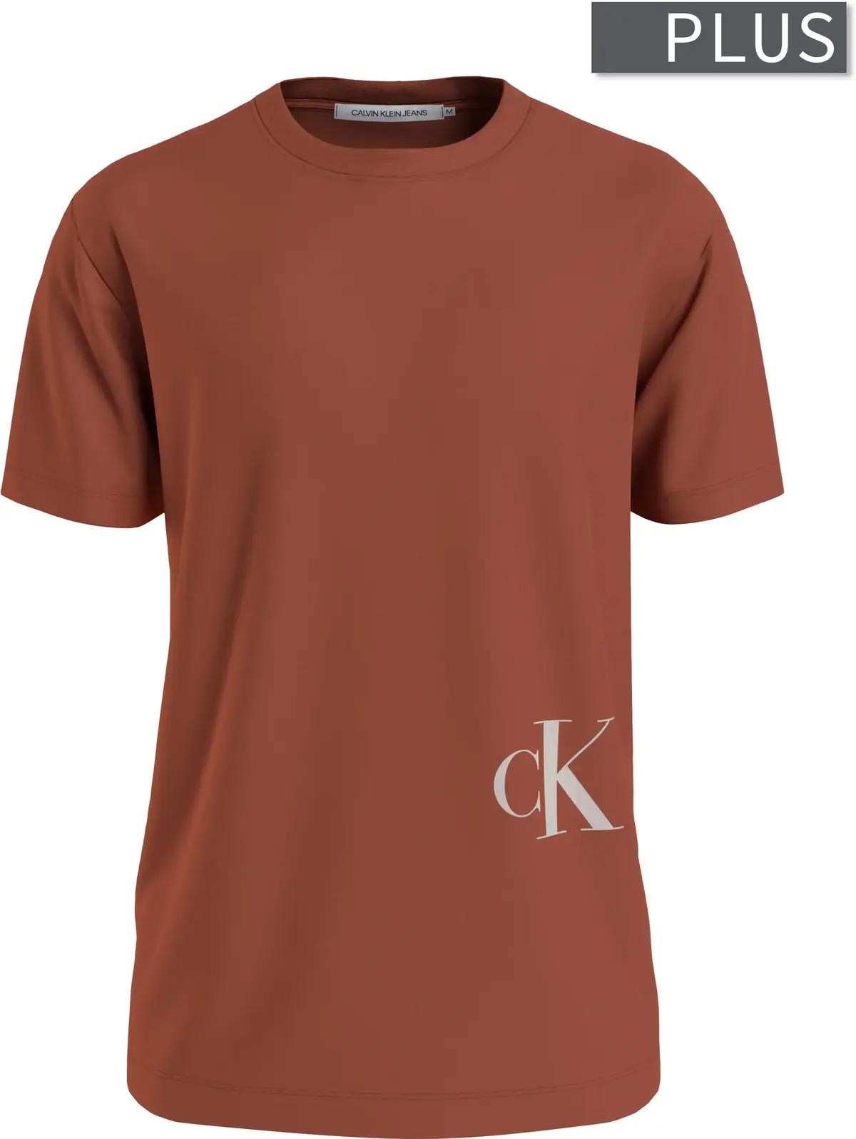 Calvin Klein COLOR MONOGRAM GRAPH Erkek Kahverengi T-Shirt